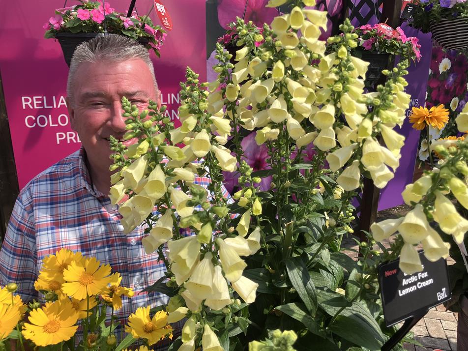 Chris Day with Ball's Digitalis 'Arctic Fox Lemon Cream'